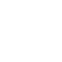 LinkedIn icon